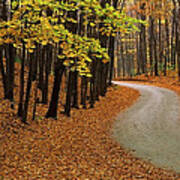 Fall Winding Road  #1 Poster