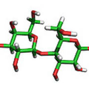 Lactose Molecule #1 Poster