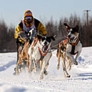 2011 Limited North American Sled Dog Race #1 Poster