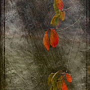 Colours Of Autumn #2 Poster