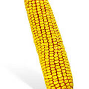 Corn Cob #2 Poster