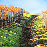Late Autumn In Napa Valley Poster