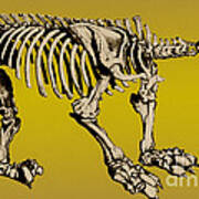 Megatherium, Extinct Ground Sloth #2 Poster