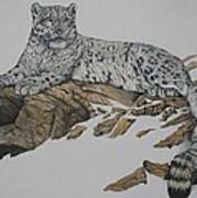 Snow Leopard #2 Poster