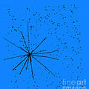 Particle Tracks #4 Poster