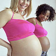 Pregnant Women #4 Poster