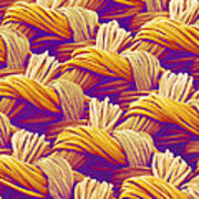 Woven Fabric, Sem #7 Poster