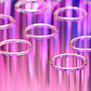 Laboratory Test Tubes In Science Research Lab Poster