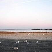 A Gathering On Rehoboth Bay Poster