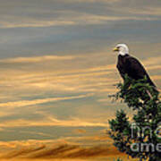 American Eagle Sunset Poster