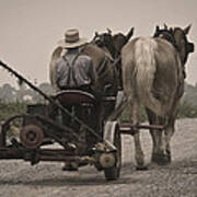 Amish Life Poster