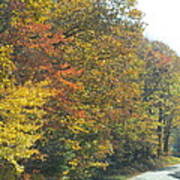 Autumn Drive Poster