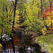 Autumn Over Kearsley Creek Poster