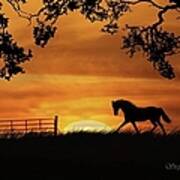 Horse In Pasture With Sunrise Autumn Colors Poster