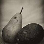 Avocado And Pear Poster