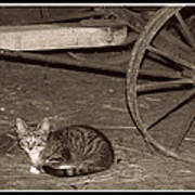 Barn Cat Ii Poster