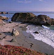 Beach Near San Simeon Creek With Ice Poster