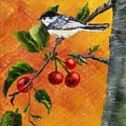 Bird In Chery Tree Poster