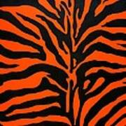 Black And Orange Zebra Poster