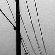 Black And White Poles In Fog Right View Poster