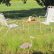 Blue Heron - Lawn Chairs Poster