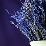 Bouquet Of Lavender Poster