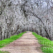 Brazos Bend Pass Poster