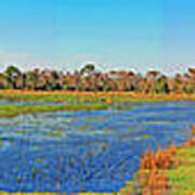 Brookgreen Gardens Ricefields Poster