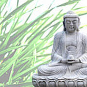 Buddha Grass Poster