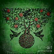 Celtic Tree Of Life Poster