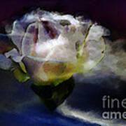 Cloud Rose Painterly Poster
