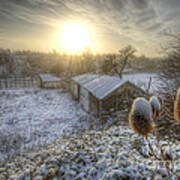 Country Snow And Sunrise Poster