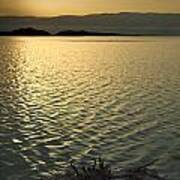 Dead Sea Shore At Dawn Poster