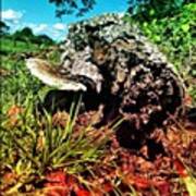 Dead Tree And Mushroom Poster