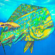 Dorado And Remoras - Dorado Fish Poster