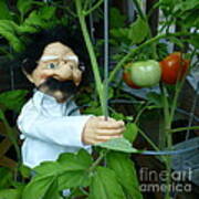 Dorf Chef Doll With Tomatoes Poster