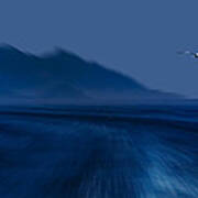 Elba Island - Flying Away - Ph Enrico Pelos Poster