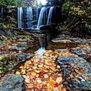 Brasstown Falls Poster