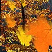 Falling Leaves In Fall Poster