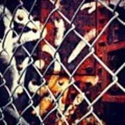 #fence #cloture #ig #industrial Poster