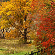 Fence In Autumn Poster