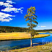 Firehole River Ii Poster