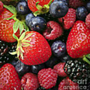 Fresh Berries Poster