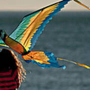 Go Fly A Kite Poster