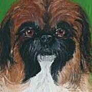 Gucci The Peke Poster