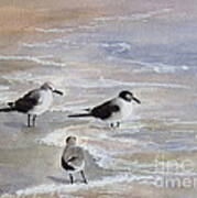 Gulls On The Beach Poster
