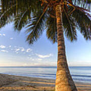 Hawaiian Coconut Palm Sunrise Poster