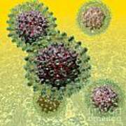 Hepatitis B Virus Particles Poster