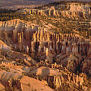Hoodoo Formations In Bryce Amphitheater Poster