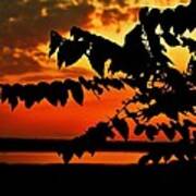 Horicon Marsh At Sunset Poster